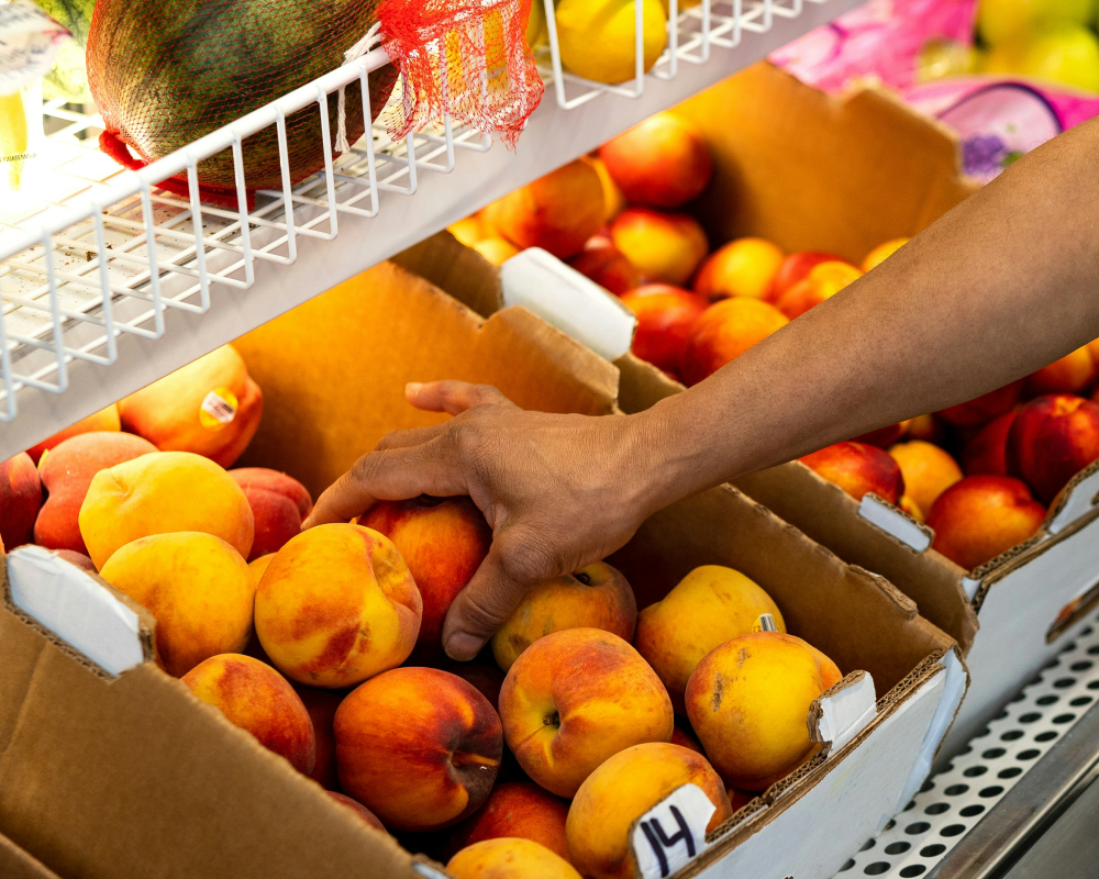 Why HelloFresh product sampling works